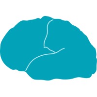 BrainTesting logo - Similar company to Braintest Inc.