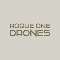 Rogue One Drones logo - Similar company to Odd Drones