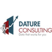 Dature Consulting logo - Similar company to Strategic Litigation Partners