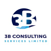 3B Consulting Services Limited logo - Similar company to Vision And Destiny International Foundation (Vdif)