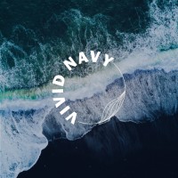 Vivid Navy logo - Similar company to Anagoehner.Com (Digital Butterfly Communications, Llc)