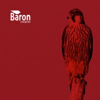 Baron Transportes