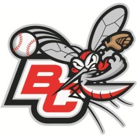 Battle Creek Bombers logo - Similar company to Big Boy Arena