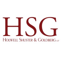 Holwell Shuster & Goldberg LLP logo - Similar company to Friedman Kaplan Seiler Adelman & Robbins Llp