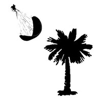 Palmetto PPG logo - Similar company to Nubes