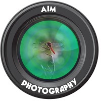 AIM Photography Studio logo - Similar company to Movement Matters Collective
