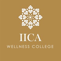 IICA  Metro Campus logo - Similar company to Herbline Srilanka