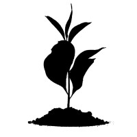 Susgain Consulting logo - Similar company to Kasigro