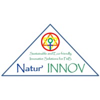 Natur' INNOV private limited logo - Similar company to Prodmind It Solutions