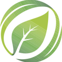 Mint Medium logo - Similar company to Mint Dentistry Llc