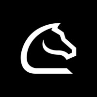Chessnut logo - Similar company to Ichessone