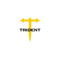 Trident Group logo - Similar company to Rhythm