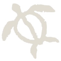 Tradewinds travel photography logo - Similar company to Northbound Tours