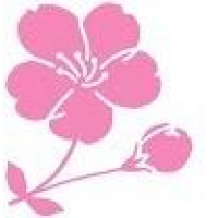 Sakura Global Capital