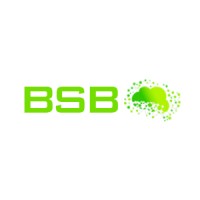 BSB DATA AND INFORMATION PROCESSING SERVICES PRIVATE LIMITED logo - Similar company to M Farms