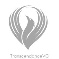 TranscendanceVC & Education logo - Similar company to Ai Select Limited