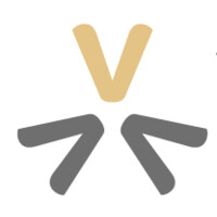 VALUEGO Consulting logo - Similar company to Valuegov Inc.