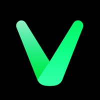VVFit.com Naturopathy Telemedicine logo - Similar company to Biotb