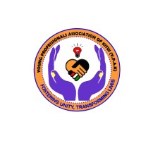 Young Professionals Association of Kitui (Y.P.A.K) logo - Similar company to Kitui County Assembly