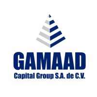 GAMAAD Capital Group, S.A. de C.V. logo - Similar company to Brokers Financieros