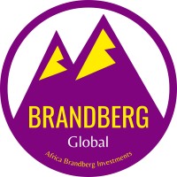 Brandberg Global logo - Similar company to Adaptrum