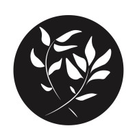 Vital Roots Clinic logo - Similar company to Vital Root Wellness