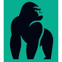 BI Gorilla logo - Similar company to Vintus.