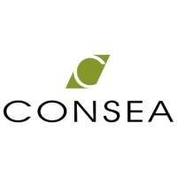 Consea logo - Similar company to Tecsam S.R.L.