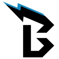 Blitz Technology Consulting logo - Similar company to Technology Transformation Program