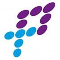 Premier Teachers Ltd