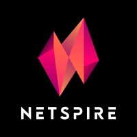 Netspire Technologies logo - Similar company to Netspire