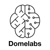 Domelabs AI logo - Similar company to Valid Ai