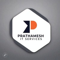 pune IT services logo - Similar company to Pune It Solutions