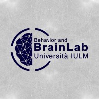 BrainLab IULM logo - Similar company to Brainsigns