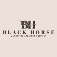 Black Horse Digital logo - Similar company to Cube20