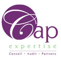 CAP EXPERTISE logo - Similar company to Ldo Conseils