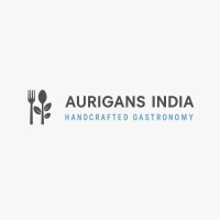 Aurigans India logo - Similar company to Skytech Aviation Services Limited
