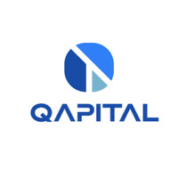 Qapital logo - Similar company to Dealfinders Vastgoed