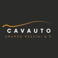 Cavauto Gruppo Pezzini & P. logo - Similar company to Gruppo Igr