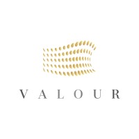 VALOUR logo - Similar company to 18Hall