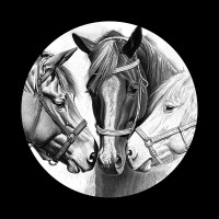 Paard en meer logo - Similar company to Flexkazerne