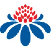 The Rugby Club Foundation logo - Similar company to Rugby 1St