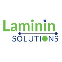 Laminin Solutions logo - Similar company to Shinytech Solutions