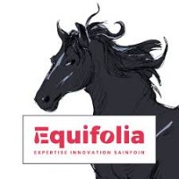 Equifolia logo - Similar company to Studio Poné
