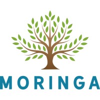 Moringa Capital Management logo - Similar company to Moringa List