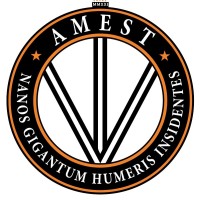 AMEST logo - Similar company to Cisos.Club