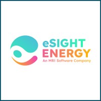 eSight Energy logo - Similar company to E-Sight