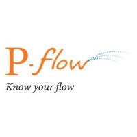 P-flow logo - Similar company to Pflow