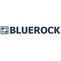 BLUEROCK CAPITAL PARTNERS logo - Similar company to Sole Trader Rescue