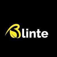 Blinte logo - Similar company to Bms Management Group
